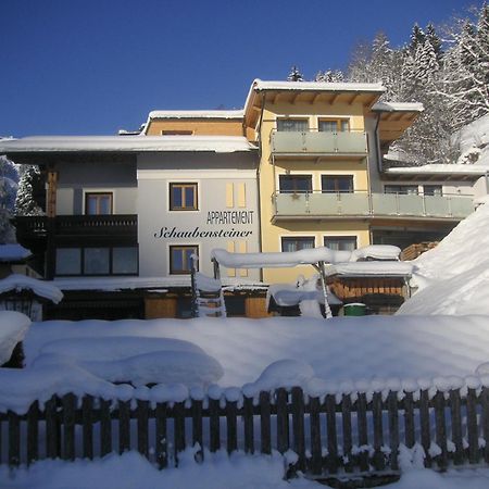 Appartement Schaubensteiner Zell am See Zewnętrze zdjęcie
